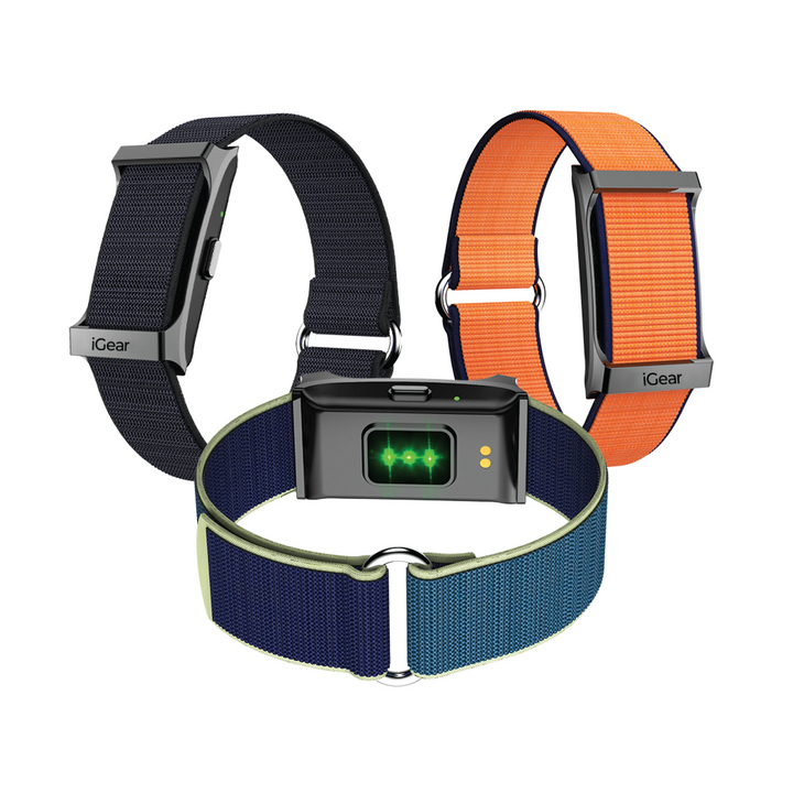 iGear Auraband health tracking smart band